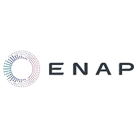 Logo de ENAP